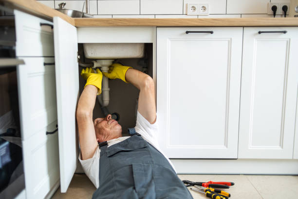 Best Plumbing Inspection Services  in Amherst, TX